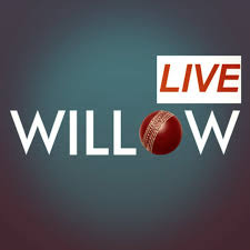 Willow cricket